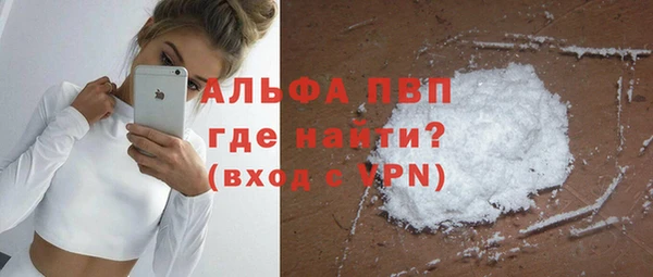прущие грибы Верея