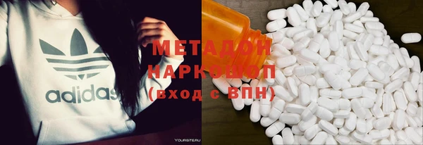 прущие грибы Верея