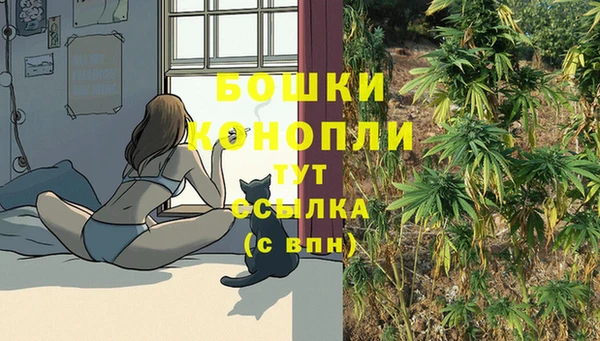 2c-b Верхний Тагил