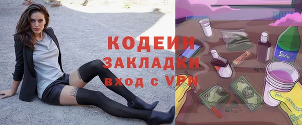 прущие грибы Верея