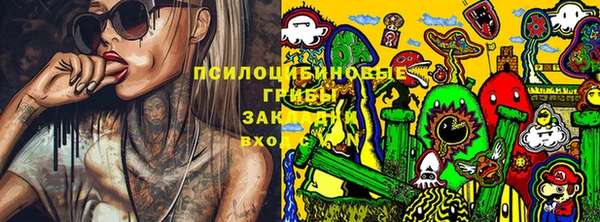 прущие грибы Верея